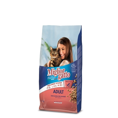 Picture of Migliorgatto adult kibble with salmon and herring